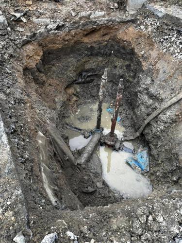 402136117_122117949920049766_7451110604168105290_n