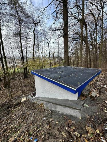 404750745_122119759136049766_459412601610975129_n